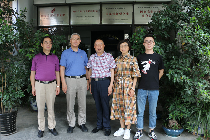 news01.jpg news01.jpg